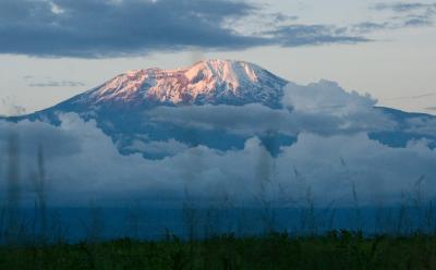 kilimanjaro